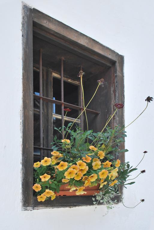 Ferienwohnung Ferienhof Ressmann-Tratnik Ledenitzen Exterior foto