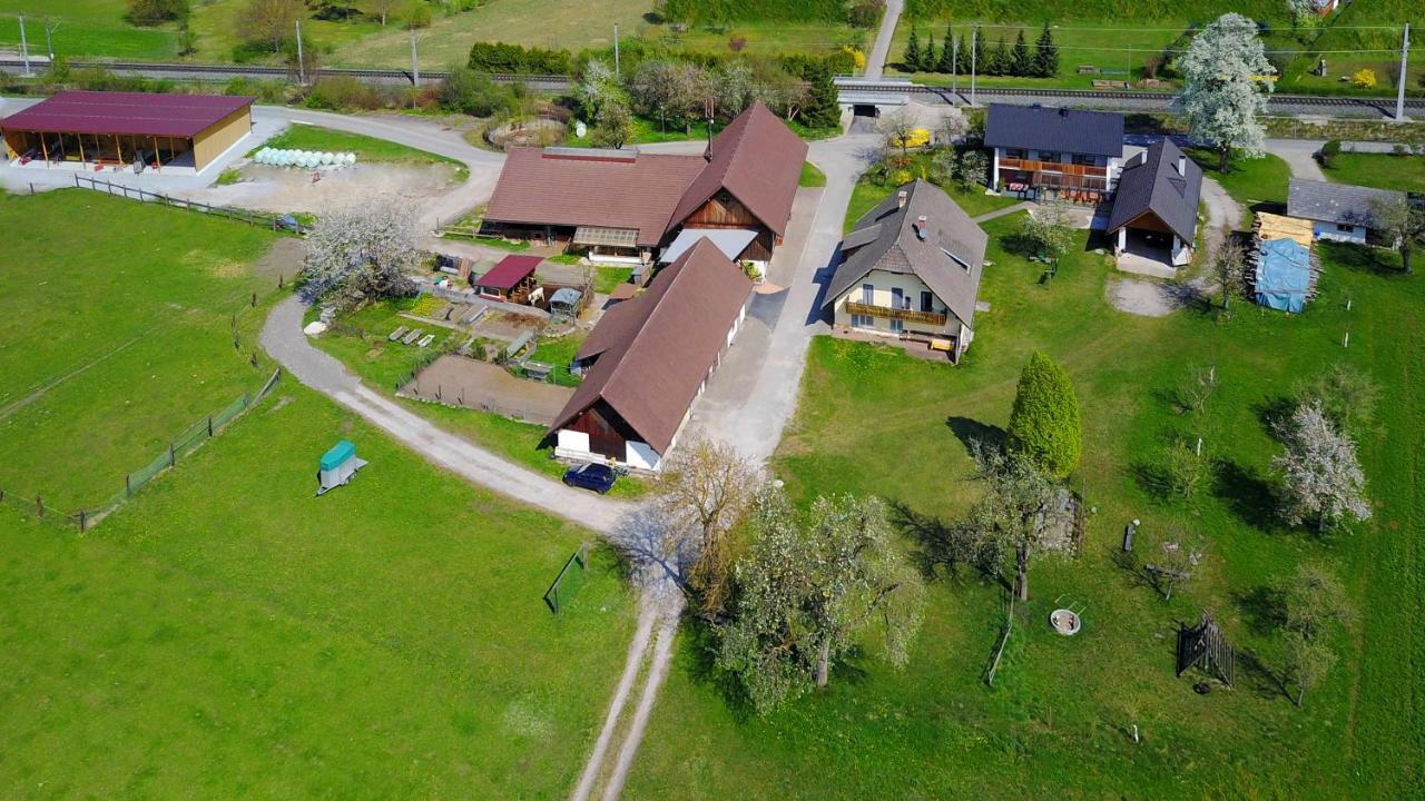 Ferienwohnung Ferienhof Ressmann-Tratnik Ledenitzen Exterior foto